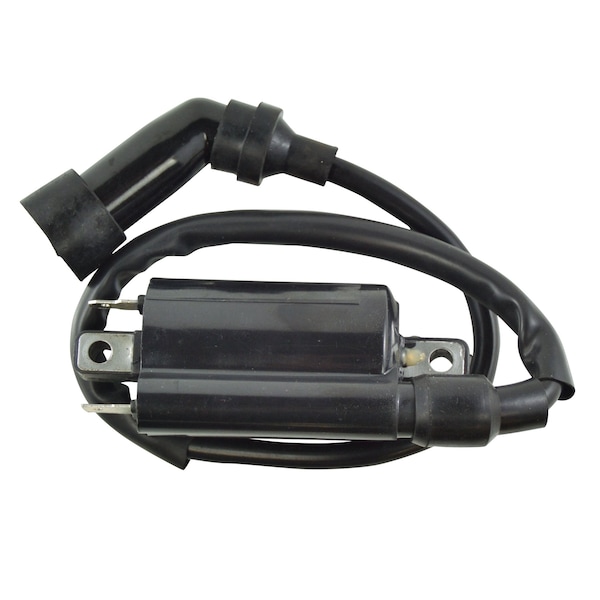 Rmstator Ignition Coil for Yamaha YFM 700 Raptor, Suzuki GN125 DR200, Polaris Sportsman 110, Kawasaki Ninja RM06008 - main